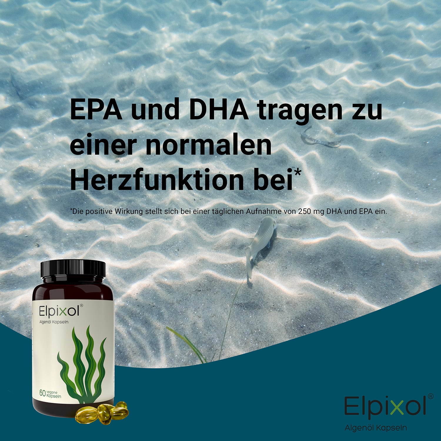 Elpixol® Algenöl Kapseln mit 500 mg EPA + DHA